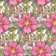 Dog rose N5