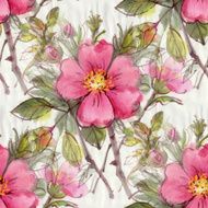 Dog rose N6