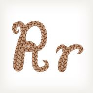 Braids hair font N9