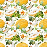 Watercolor watermelon melon pattern N16