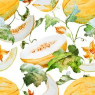 Watercolor watermelon melon pattern N17