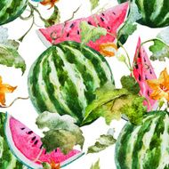 Watercolor watermelon melon pattern N18