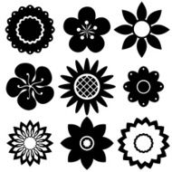 Flowers N200