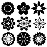 Flowers N201