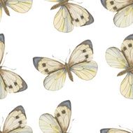 Seamless vector pattern Watercolor butterfly Vector illustrati N2