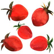 Strawberry Collection isolated on white