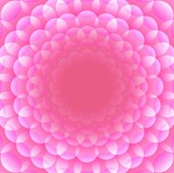 Flower background N81