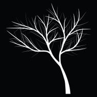 Trees with dead branch N58