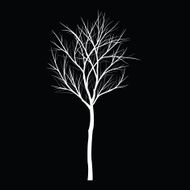 Trees with dead branch N59