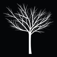 Trees with dead branch N60