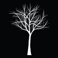 Trees with dead branch N61