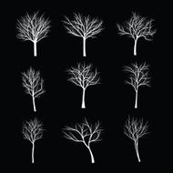 Trees with dead branch N63