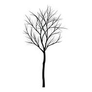 Trees with dead branch N64