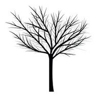 Trees with dead branch N66