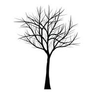 Trees with dead branch N67
