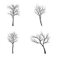 Trees with dead branch N68