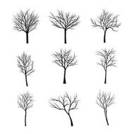 Trees with dead branch N70