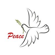 White dove with green twig