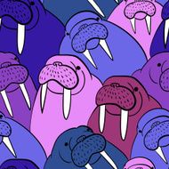 Walrus Pattern N2