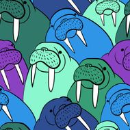 Walrus Pattern N3