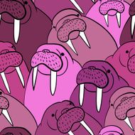 Walrus Pattern N6