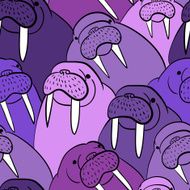 Walrus Pattern N7