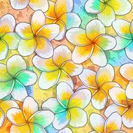 Tropical flowers plumeria N4