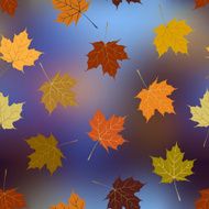 Leaves of maple on blurred background autumn pattern