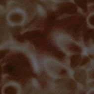 Grunge abstract background N951