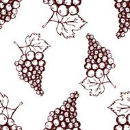 Seamless pattern with hand drawn decorative grapes N4