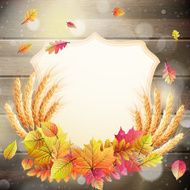 Autumn background with colorful leaves EPS 10 N6