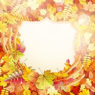 Autumn background with colorful leaves EPS 10 N8