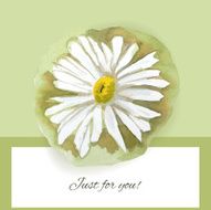 Postcard with camomile flowers It contains clipping masks