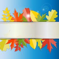 Shiny Autumn Natural Leaves Background Vector Illustration N20