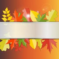 Shiny Autumn Natural Leaves Background Vector Illustration N21