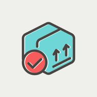 Box with validation mark thin line icon N3