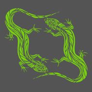 two lizard