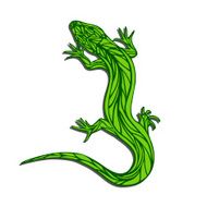 Lizard N10