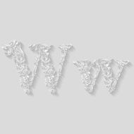 Decorated letter w N2