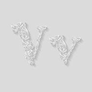 Decorated letter v N2