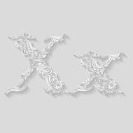 Decorated letter x N2