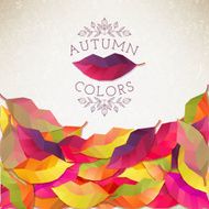 Autumn background Vector illustration N20