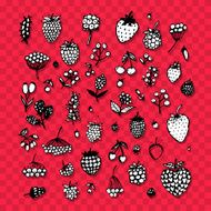 Berries collection sketch for your design N2