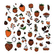 Berries collection sketch for your design N3