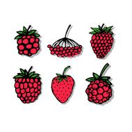 Red berries sketch for your design