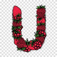 Letter U made from red berries sketch for your design