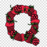 Letter Q made from red berries sketch for your design