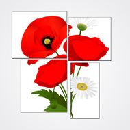 Vector white background with chamomile and poppies N2