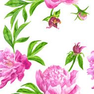 Vector seamless floral pattern N272