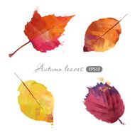 Watercolor vector set of autumn leaves